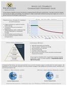 GSI One Pager