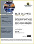 Pilot-Loss-of-License-2023-border